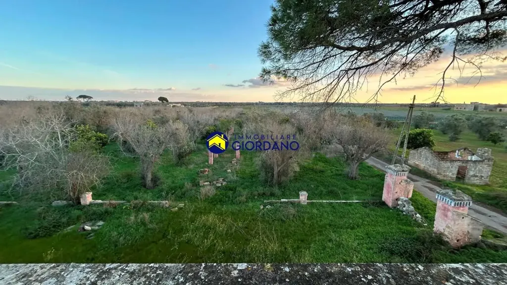 Garden - Rustic Property with Garden in Squinzano