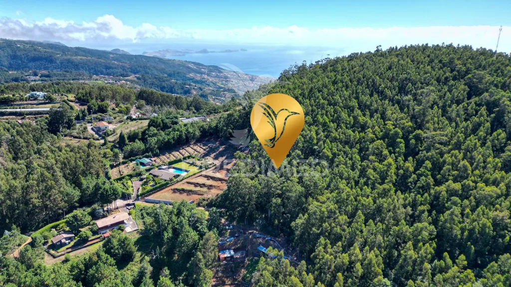 Vue aérienne - Terrain à Santa Cruz