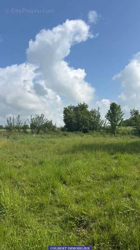 Aed - Longère with Potential in Charny