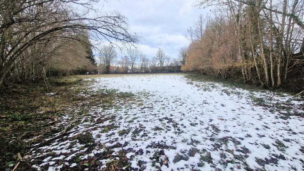 Jardin - Terrain Constructible au Calme à Chapdes-Beaufort