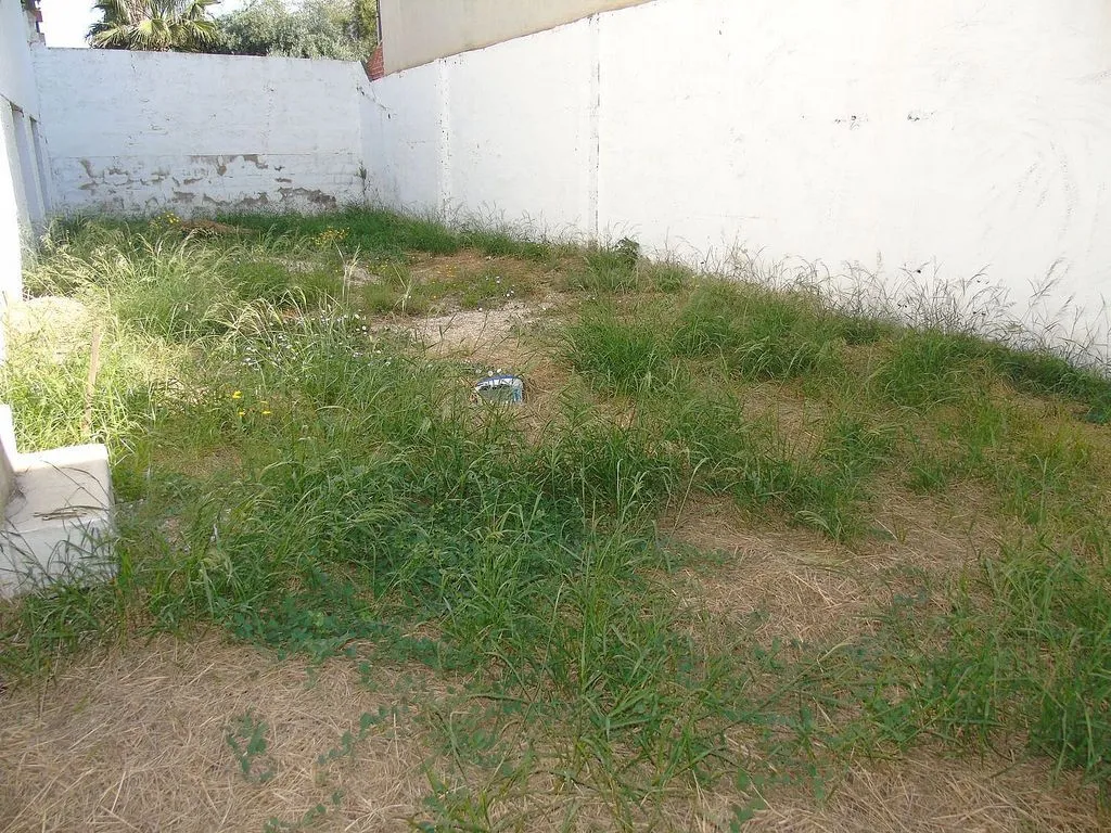 Aed - Chalet to Renovate with Garden in Ceutí