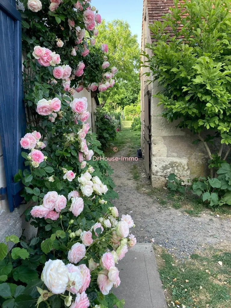 Garden - Charming Longère with Equestrian Facilities in Manthelan
