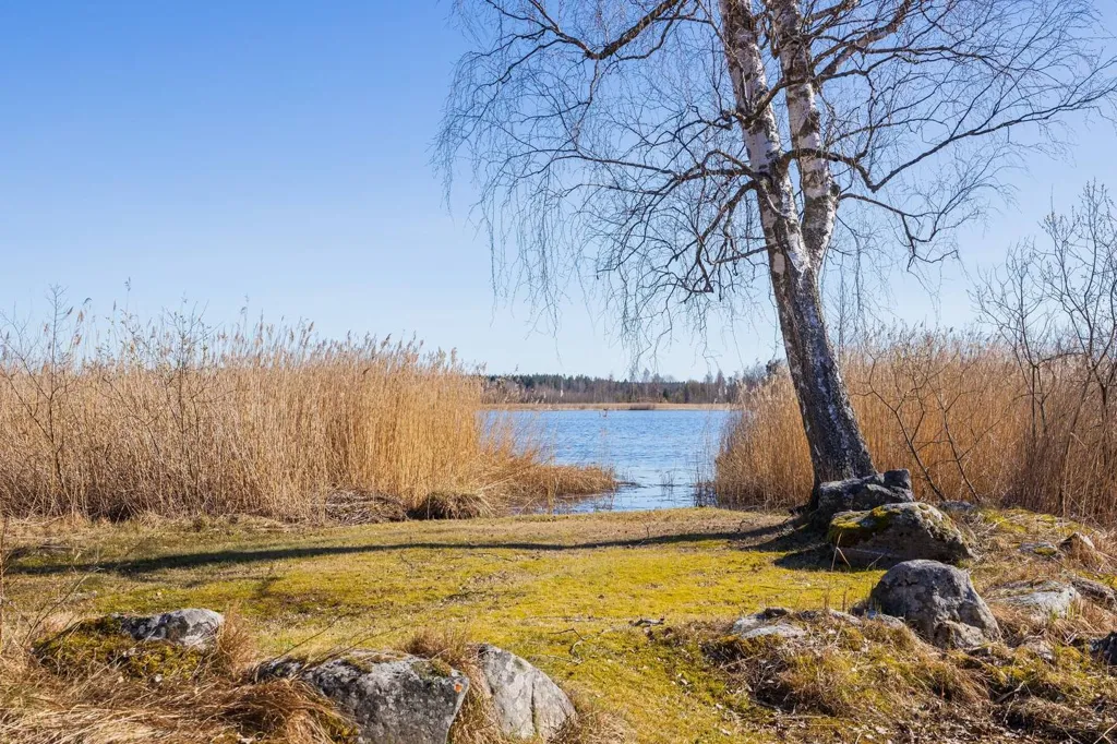 Garden - Cottage with Private Beachfront near Gävle