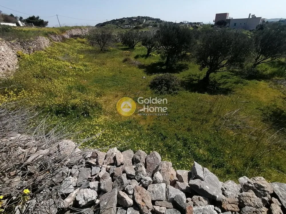 Aed - Plot with Unrestricted View in Syros - Piskopi