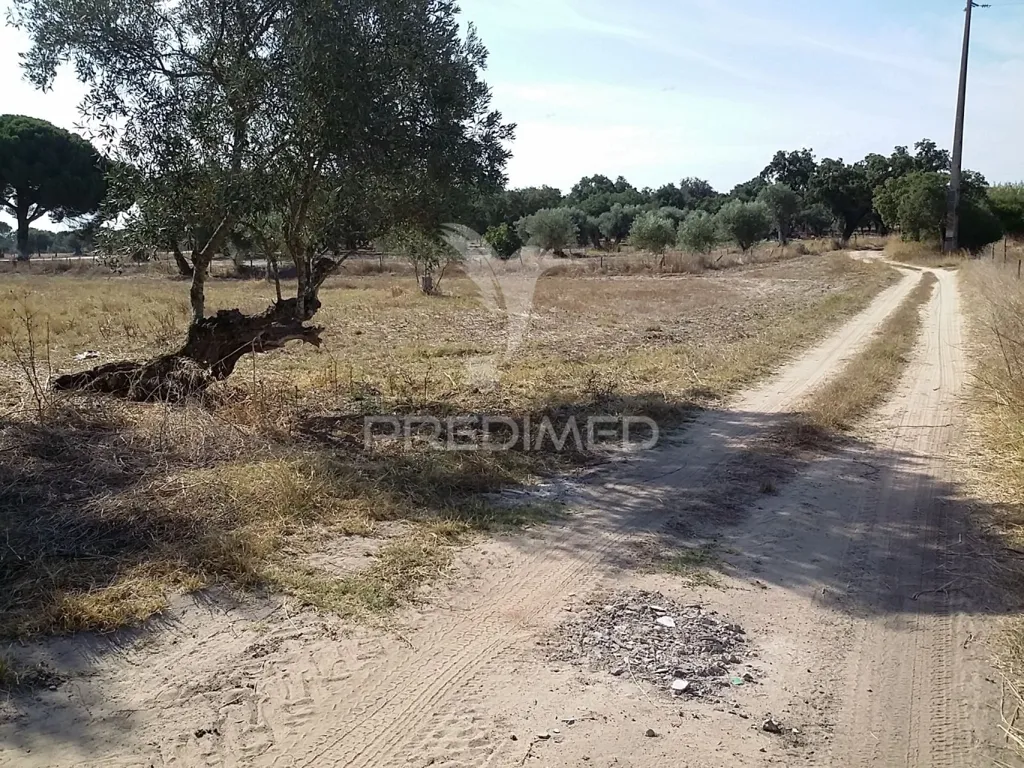 Aed - Rustic Land in Vale dos Picos