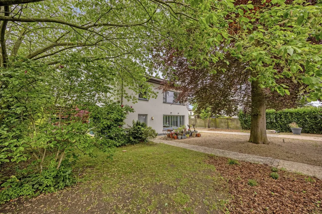 Aed - 3-Bedroom House with Terrace in Eeklo Centre
