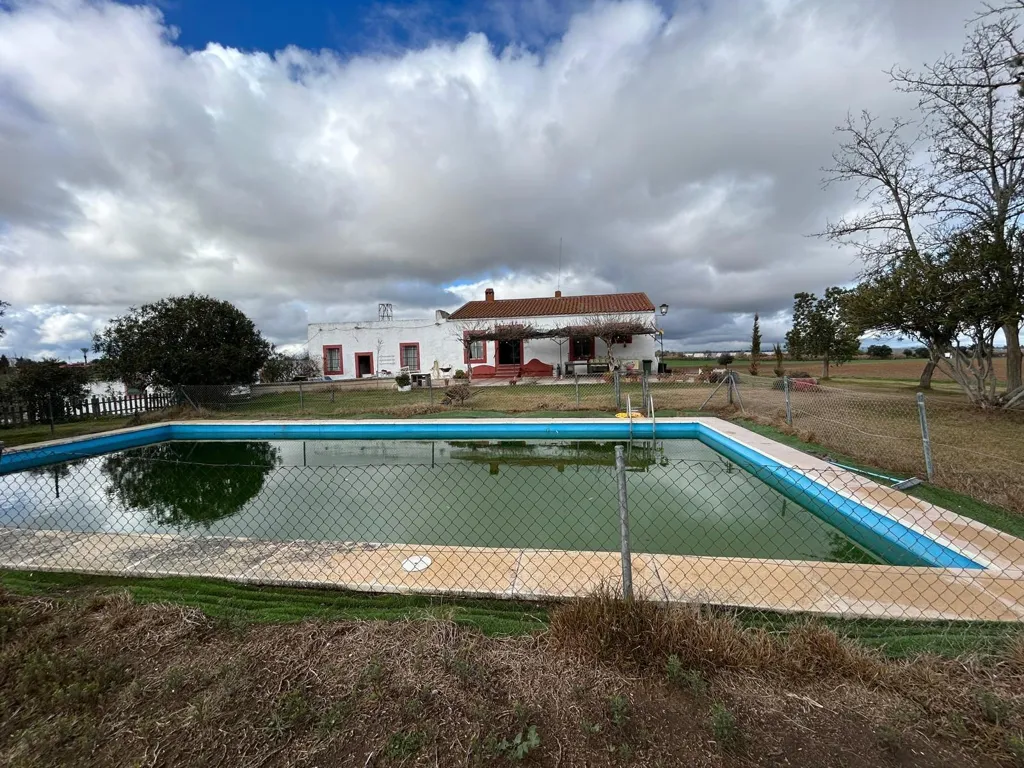 Pool - Historic Estate with Vineyard near Badajoz
