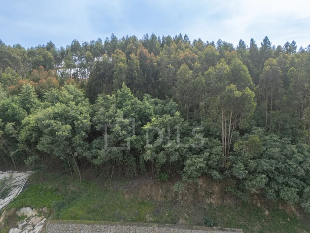 Garden - T1 Apartment with River View in Vila Nova de Gaia