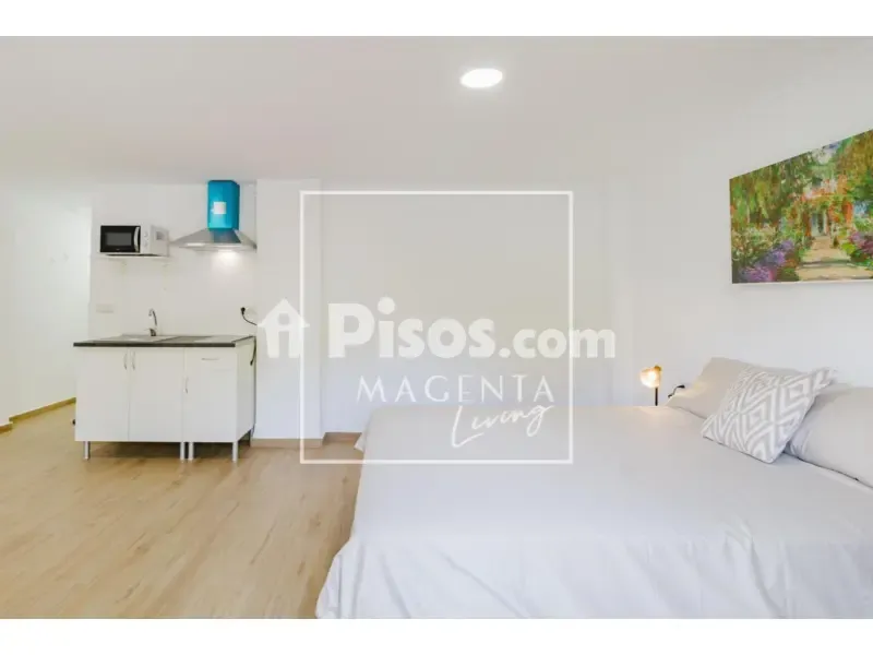 Magamistoad - Bright Studio with Balcony in Murillo Street