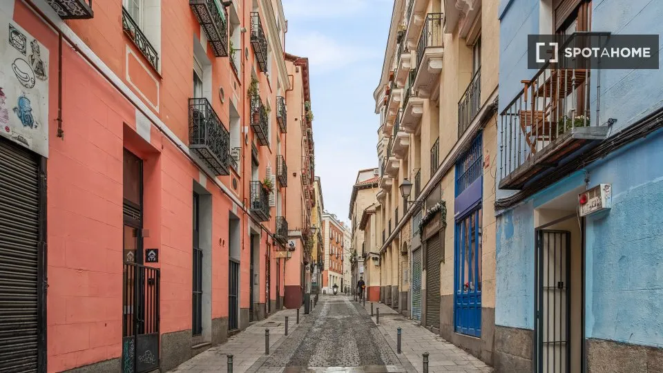 Extérieur - 1-Bedroom Apartment in Embajadores, Madrid