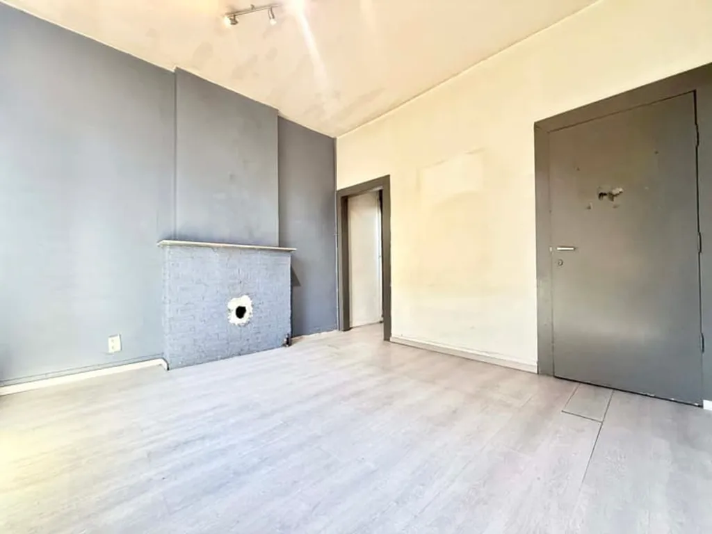 Toad - Spacious House to Renovate in Seraing