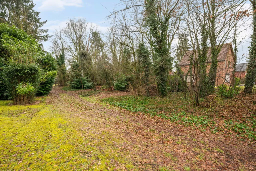 Jardin - Maison à Renover avec Jardin à Genk