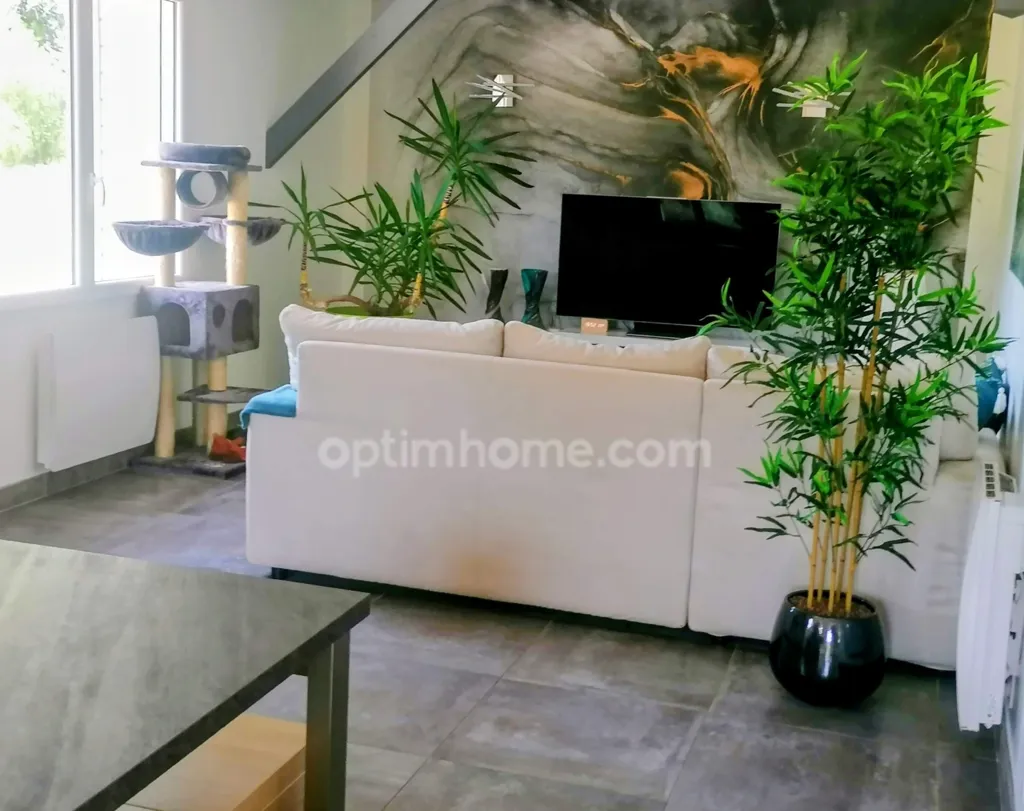 living_room