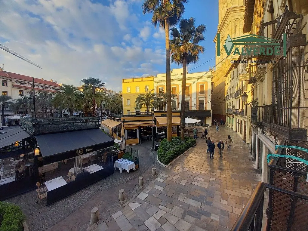 Furnished Flat with Balcony in City Centre