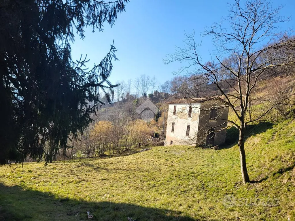 Terrain à IT