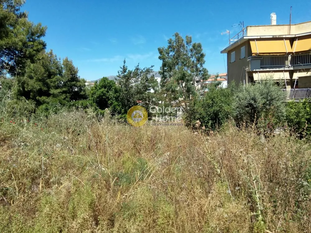 Garden - Semi-Detached House with Sea View in Rafina