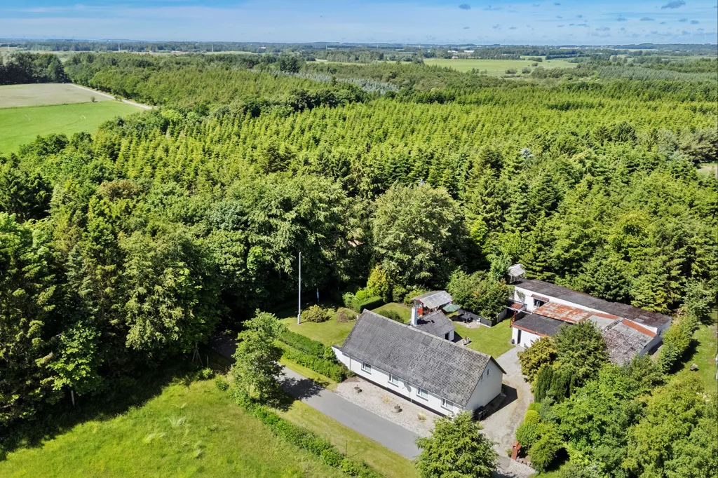 Õhuvaade - Villa with Forest Garden in Hollenstedvej