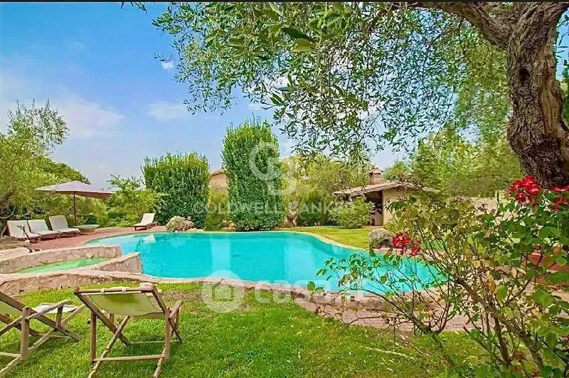 Bassein - Villa with Infinity Pool in Viterbo