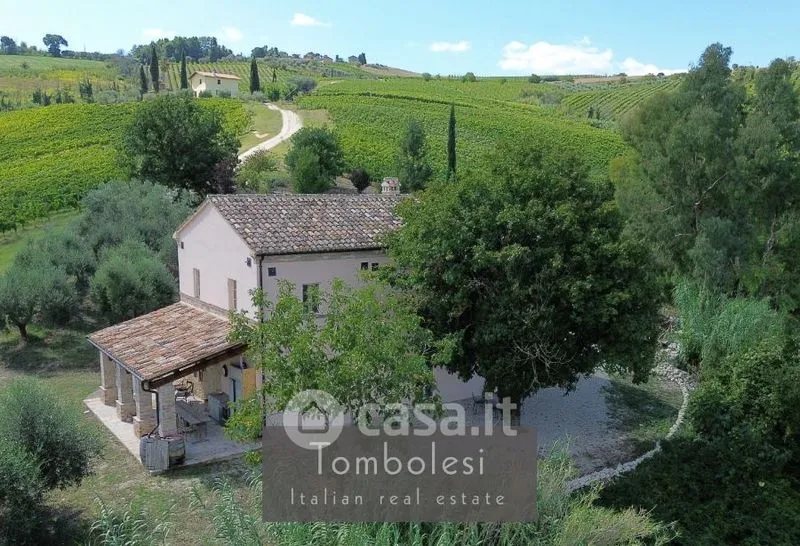 Vue aérienne - Restored Rustico with Vineyard in Cossignano