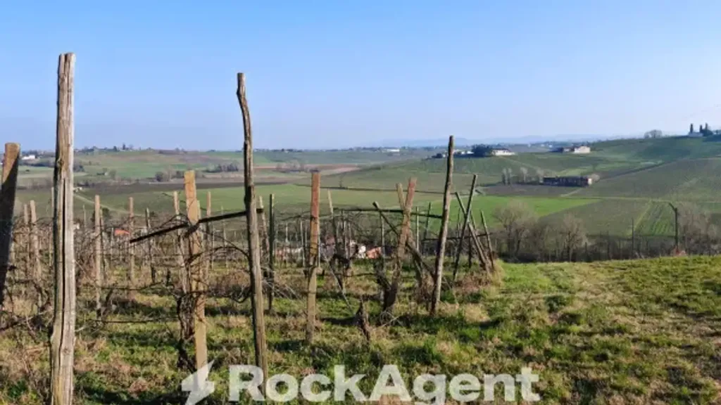 Aed - Cascina with Vineyard in San Damiano al Colle