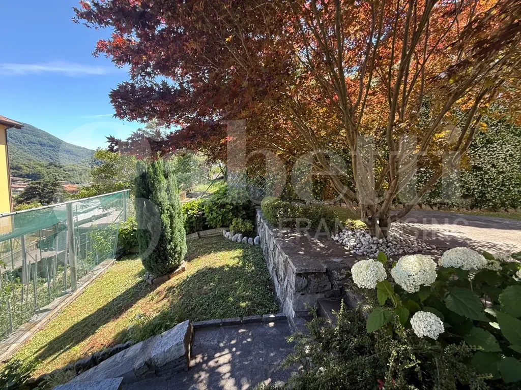 Giardino - Panoramic Villa with Garden in Asso (CO)