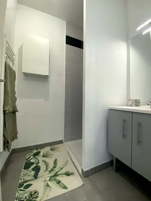 Bathrooms - 3-Bed Flat with Terrace in Colomiers