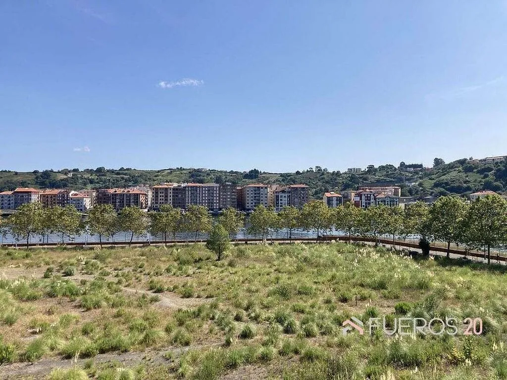 Jardin - Modern Flat with Garage in Arrontegi Centre