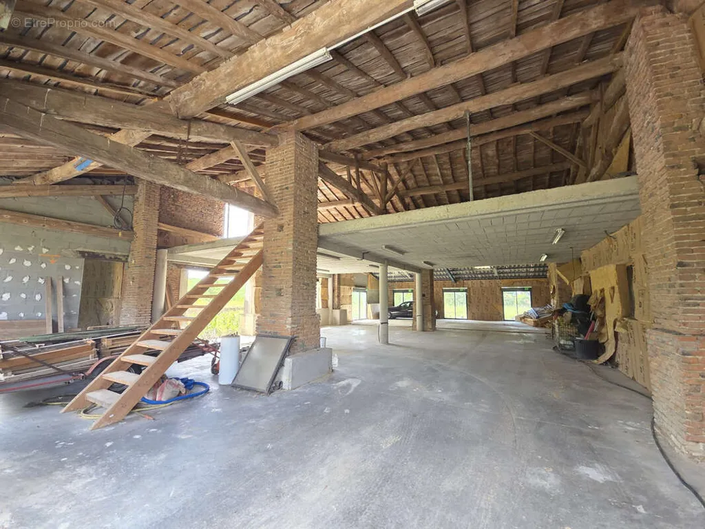 Toad - Charming Property with Golf Access in Dremil-Lafage