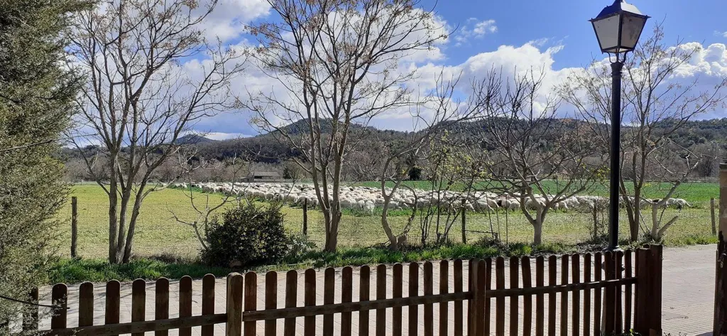 Extérieur - Terraced House with Garden in Boltaña