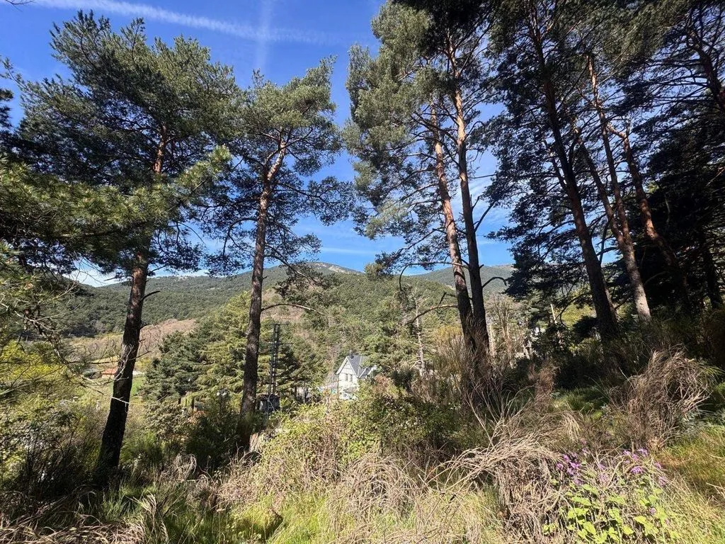 Aed - Luxury Hotel with 14 Rooms in Cercedilla