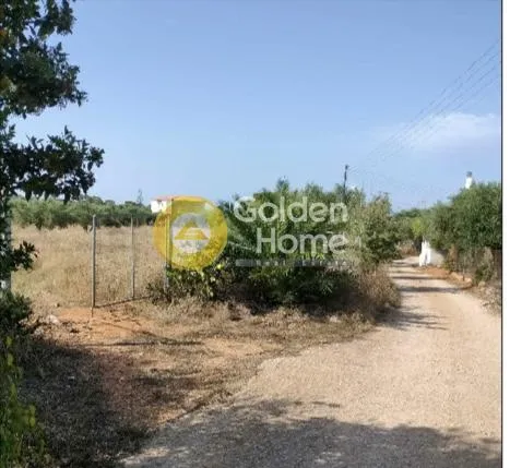 Land in GR