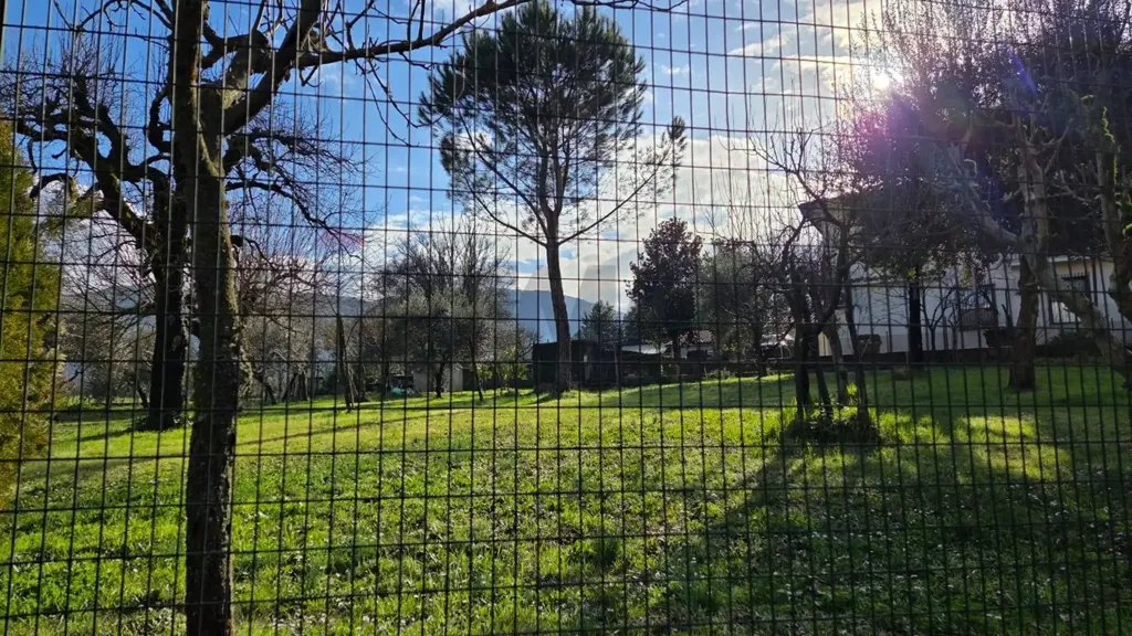 Giardino - Rustic Villa with Garden in Monticelli, Esperia