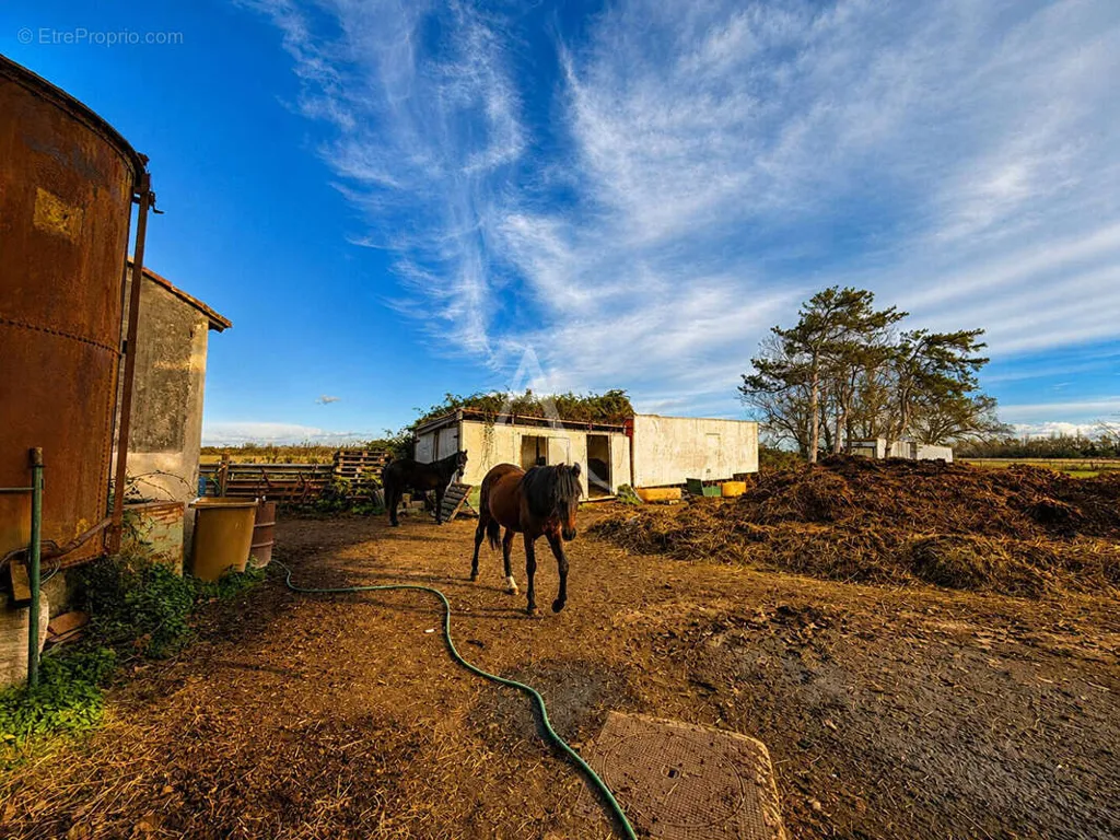 Esterno - Exceptional Mas with Vineyard in Provence
