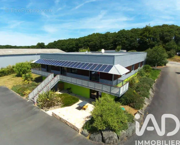 Vue aérienne - Ensemble de Bureaux Modernes au Cœur du Finistère