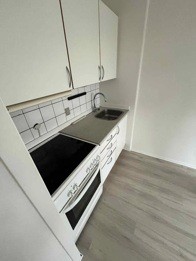 Cuisine - 1-Bedroom Flat with Natural Light in Doktorvænget