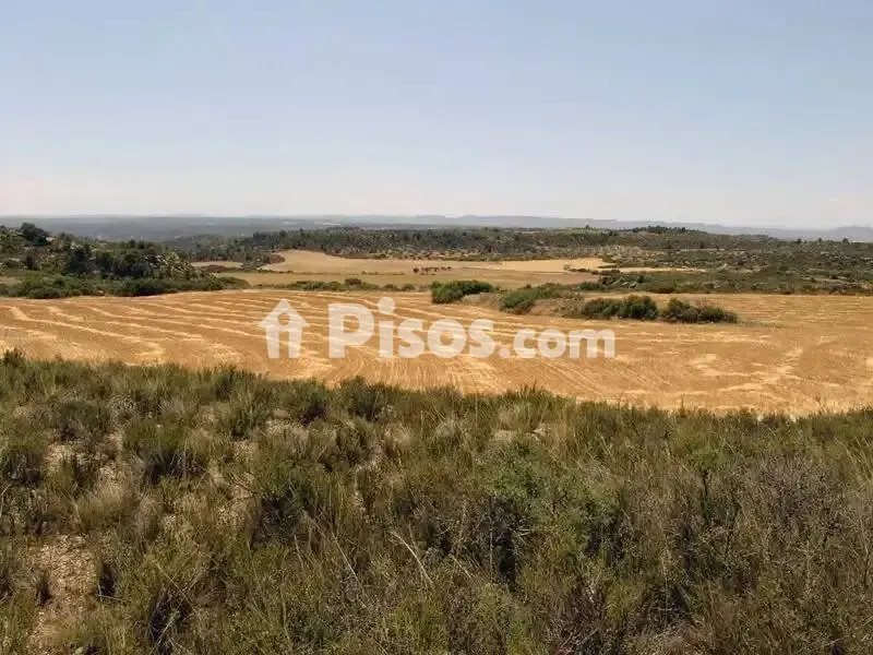 Aed - Rustic Hunting Estate in Alcañiz