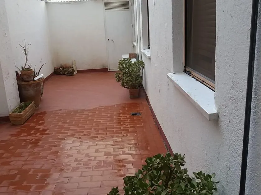 Jardin - Bright Apartment with Central Location in Jaén