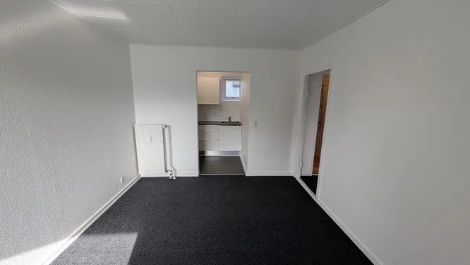 Entrée - Renovated Flat with Kitchen in Vejle