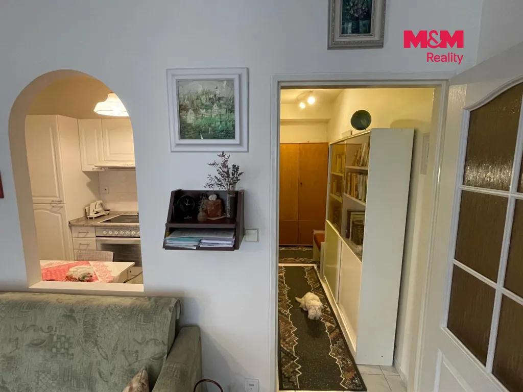 Living Room - Furnished Apartment with Terrace in Pardubice