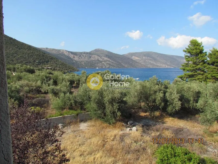 Aed - Plot with Olive Trees in Skroponéri, Boeotia