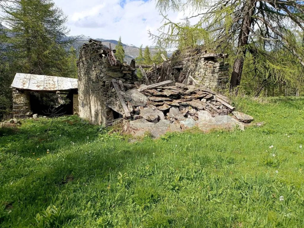 Aed - Rustic Cottage for Renovation in Sampeyre