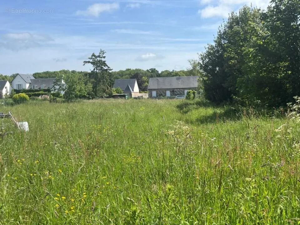 Aed - Buildable Plot with Garden in Saint-Valery-sur-Somme
