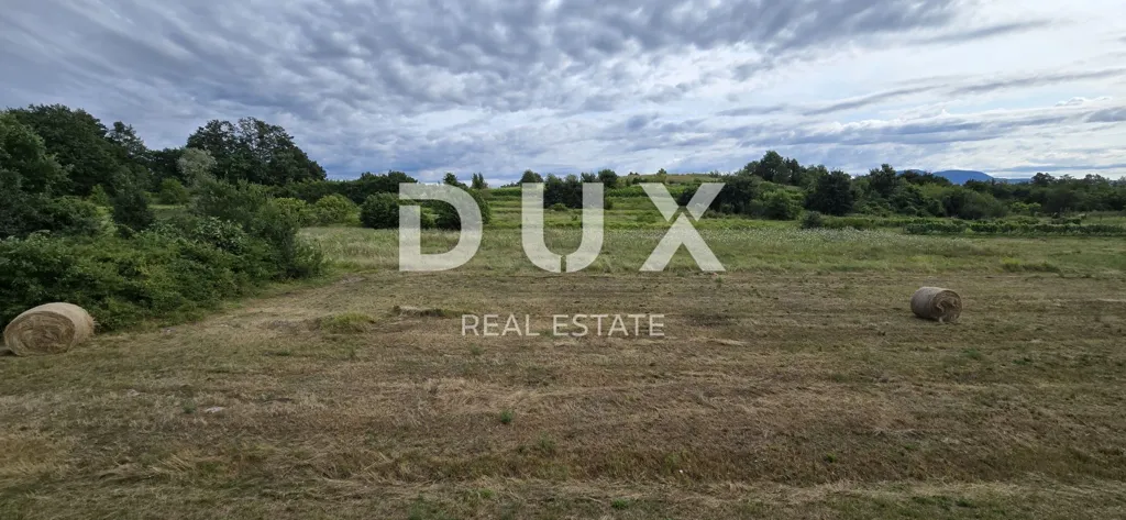 Aed - Investment Plot with Views in Pićan, Istra