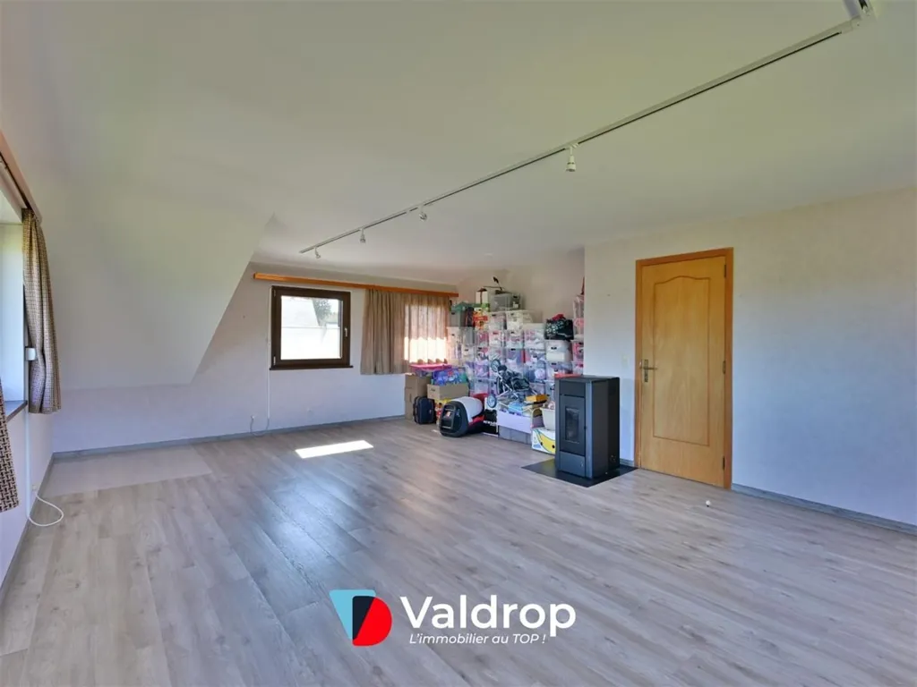 Toad - House with Potential in Arlon
