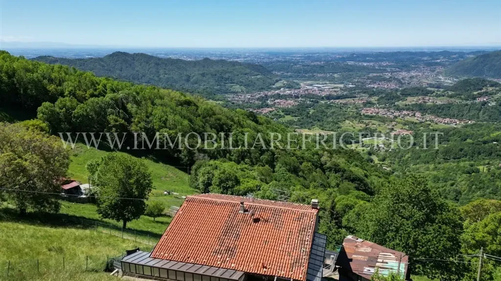 Jardin - Rustic Apartment with Garden in Collepedrino