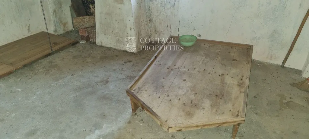 Toad - Historic Farmhouse with Renovation Potential in Serinyà