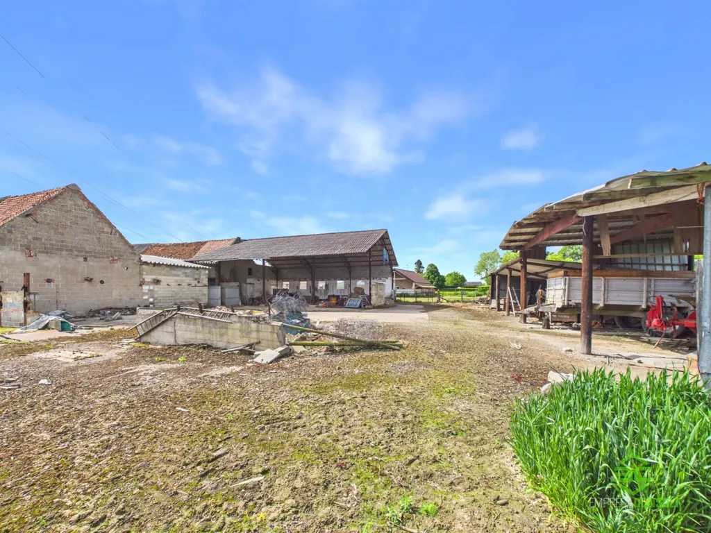 Garden - Renovatable House with Large Plot in Sint-Truiden