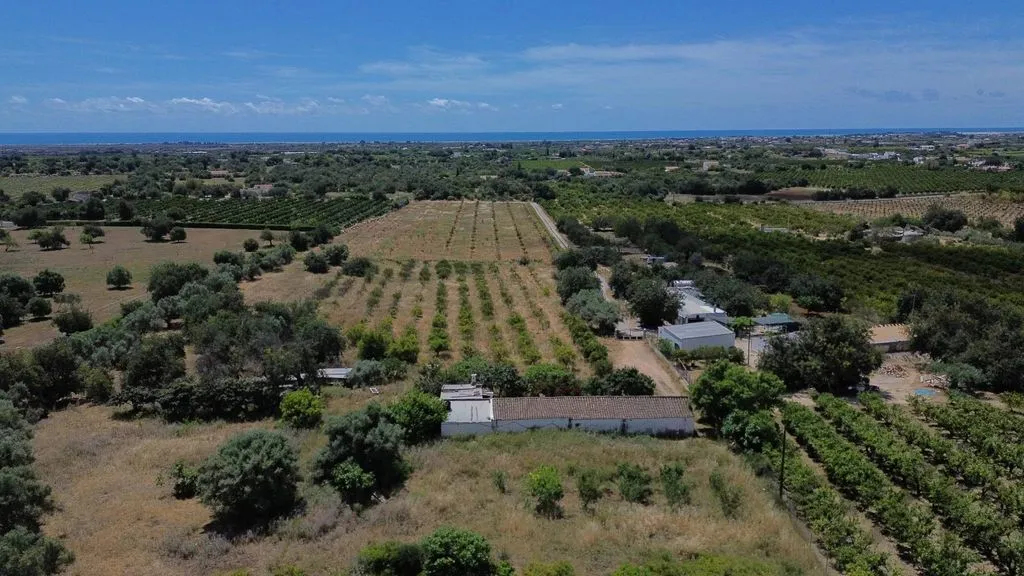 Vue aérienne - Farmhouse with Fruit Trees near Tavira