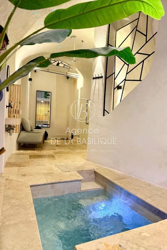 Piscine - Appartement Atypique avec SPA à Saint-Maximin-La-Sainte-Baume
