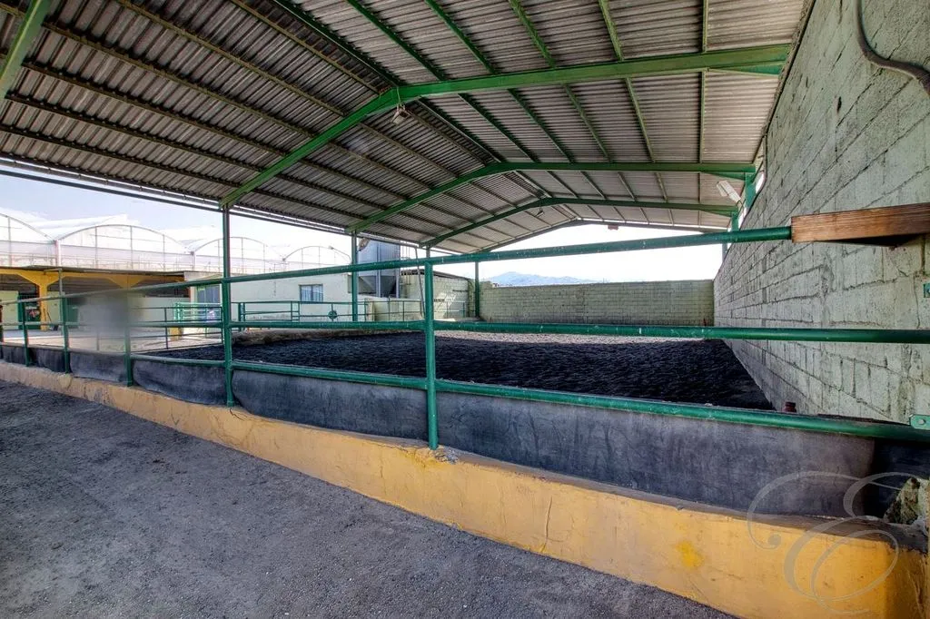 Aed - Equestrian Centre with Coastal Proximity in Torre del Mar